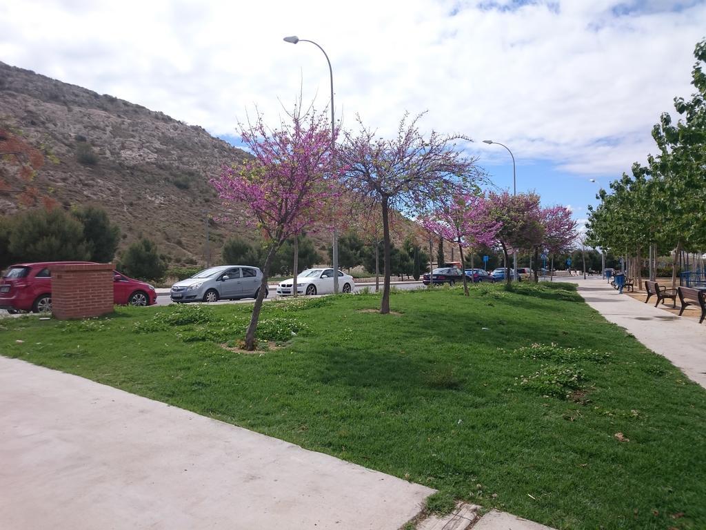 Mar Y Castillo By Gloove Alicante Kültér fotó